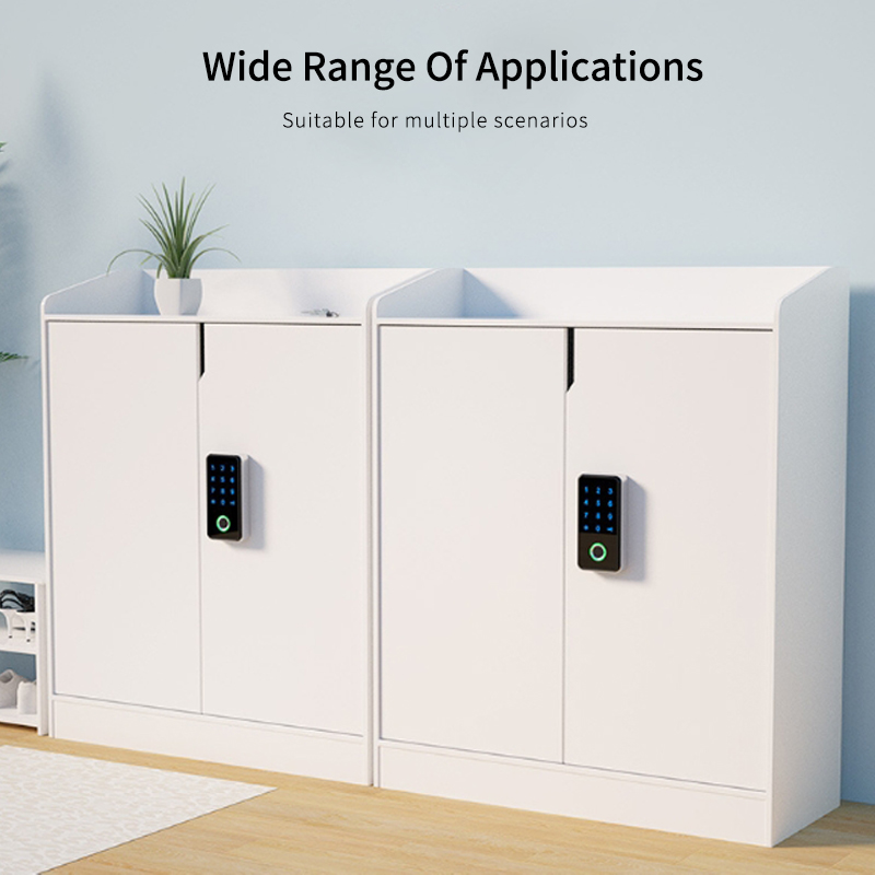 TTLOCK 13.56Mhz RFID Digital D - Cabinet Lock Key recensione e prezzo