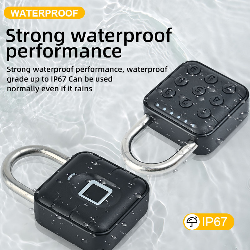 Smart Pad Lock Fingerprint Pad - Cabinet Lock Key recensione e prezzo