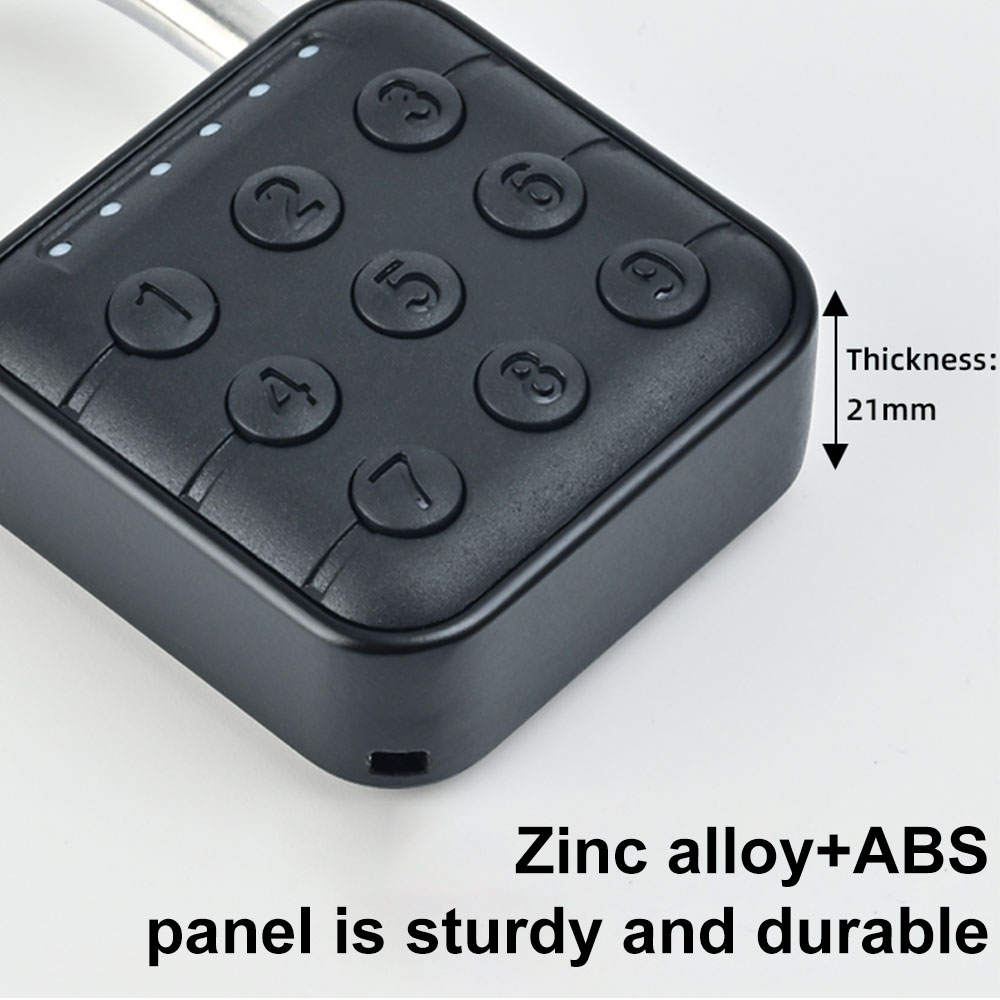 Smart Pad Lock Fingerprint Pad - Cabinet Lock Key recensione e prezzo